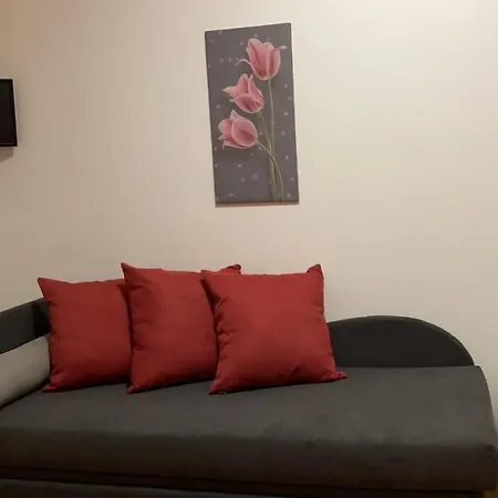 Casette Tulipano *